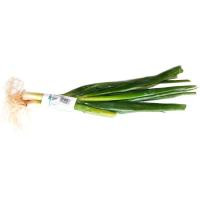 Sofrito balear, bandeja 250 g Sofrito balear, bandeja 250 g