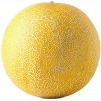 Melón Galia, pieza al peso aprox. 1.5 kg Melón Galia, pieza al peso aprox. 1.5 kg