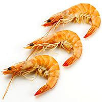 Langostino cocido 30-40, bandeja aprox. Langostino cocido 30-40, bandeja aprox.