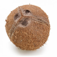 Coco 500 g aprox