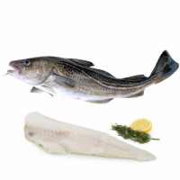 Bacalao 1,5 kg aprox