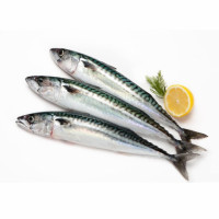 Caballa 1,3 kg aprox