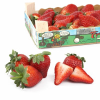 Fresón selección origen Huelva caja 1 kg