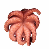 Pulpo cocido 1 Kg aprox