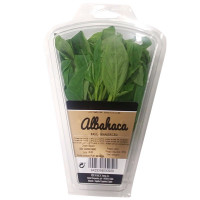 HERBEX albahaca fresca estuche 20 g