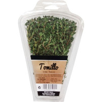 HERBEX tomillo fresco estuche 20 g