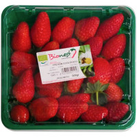 BIONEST fresón ecológico tarrina 500 g