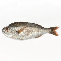 Besugo gordo peso aproximado pieza 1-1,5 kg