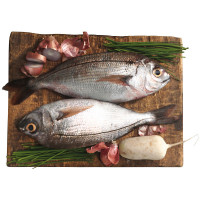Besugo de acuicultura peso aproximado pieza 700 g