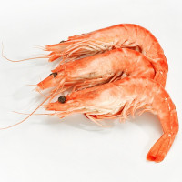 Langostino cocido Madagascar 30-35 piezas/kg