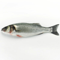 Lubina salvaje peso aproximado unidad 1,3 kg