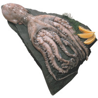 Pulpo fresco de playa peso aproximado unidad 2 kg