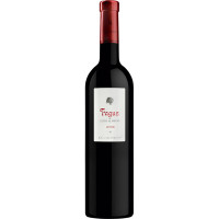 FAGUS de Coto de Hayas vino tinto garnacha DO Campo de Borja botella 75 cl