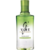 G` VINE Floraison ginebra de Francia botella 70 cl
