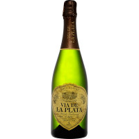 VIA DE LA PLATA cava chardonnay brut nature de Extremadura botella 75 cl
