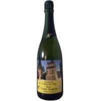 VIVES AMBROS cava brut Tarragona botella 75 cl