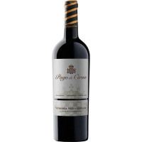 PAGO DE CIRSUS vino tinto vendimia seleccionada DO Navarra botella 75 cl