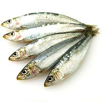 Sardina balear, al peso, compra mínima 500 g