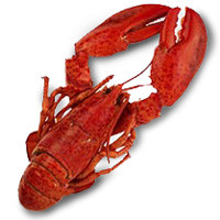 Bogavante de Canadá EROSKI Natur MSC, pieza aprox. 500 g