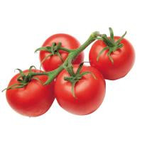 Tomate Rama, al peso, compra mínima 500 g
