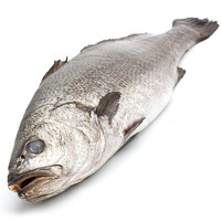 Corvina EROSKI NATUR GGN, pieza al peso aprox. 2 kg