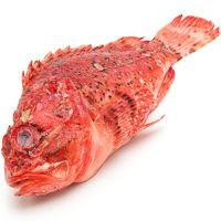 Cabra de roca, al peso, compra mínima 500 g