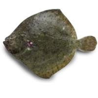 Rodaballo 300-400, pieza al peso aprox. 350 g