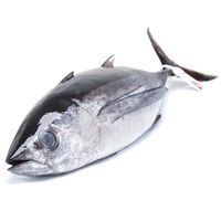 Bonito entero EROSKI NATUR MSC, pieza al peso aprox. 7 kg