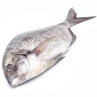 Sargo, Chopa, muxarra, pieza al peso aprox. 400 g