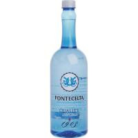 Agua mineral natural FONTECELTA Quality, botella 1 litro