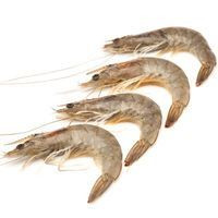 Langostino blanco descongelado 50/60, al peso, compra mínima 500 g