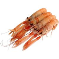Cigala descongelada nº 1, al peso, compra mínima 500 g