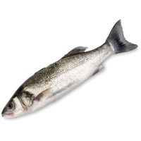 Lubina salvaje, pieza al peso aprox. 1.4 kg