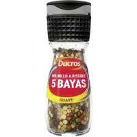 5 bayas molinillo DUCROS, frasco 24 g