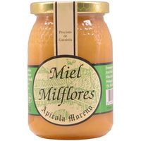 Miel mil flores EL DONCEL, frasco 500 g