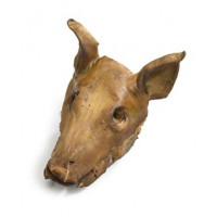Cabeza cerdo salada kg