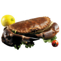 Buey de mar grande kg