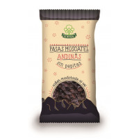 Pasas El Nogal Moscatel sin pepita 250 g