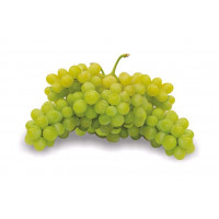 Uva blanca kg