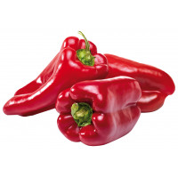 Pimiento rojo kg