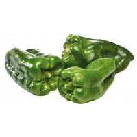 Pimiento verde kg