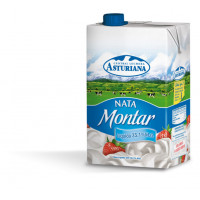 Nata ASTURIANA montar líquida brik 500 ml